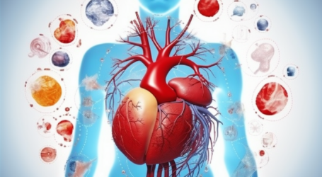 Enhancing Heart Health: Integrating Lifestyle Changes and Home Remedies