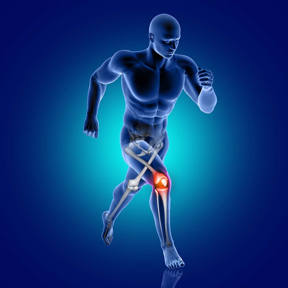 3D male medical figure running with knee bone highlighted
